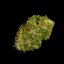 Royal Queen Seeds Семена от канабис Apollo F1 Auto