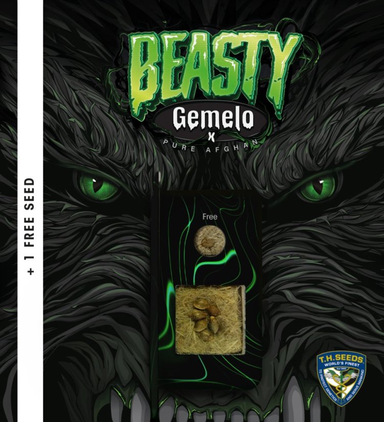 T.H.Seeds™ Seminte de canabis Beasty, pachet special 6+1, feminizate