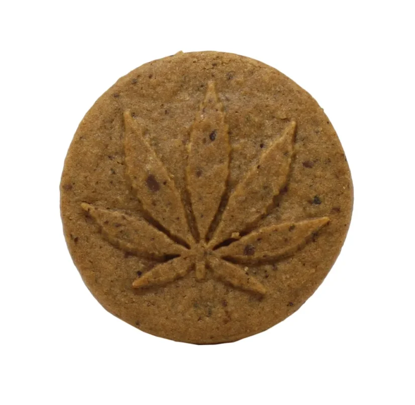 Euphoria Biscuits au chocolat et au CBD, 12 pièces, 120 mg de CBD