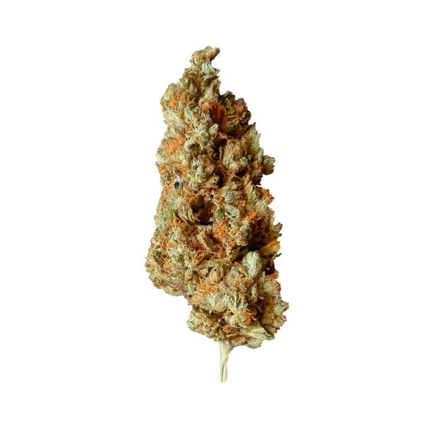 Royal Queen Seeds Semințe de Cannabis Critical Feminizate
