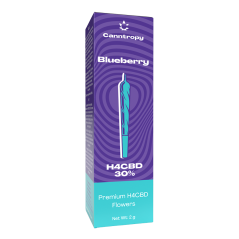 Canntropy H4CBD Prerolls Jagoda, 30 % H4CBD, 1,5 g