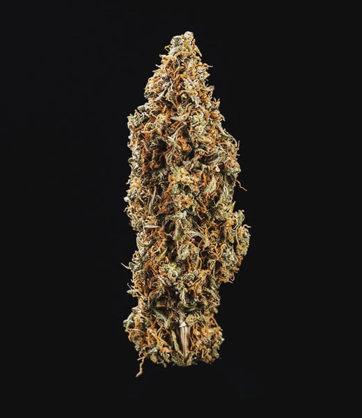 Royal Queen Seeds Seminte de canabis Triple G Auto