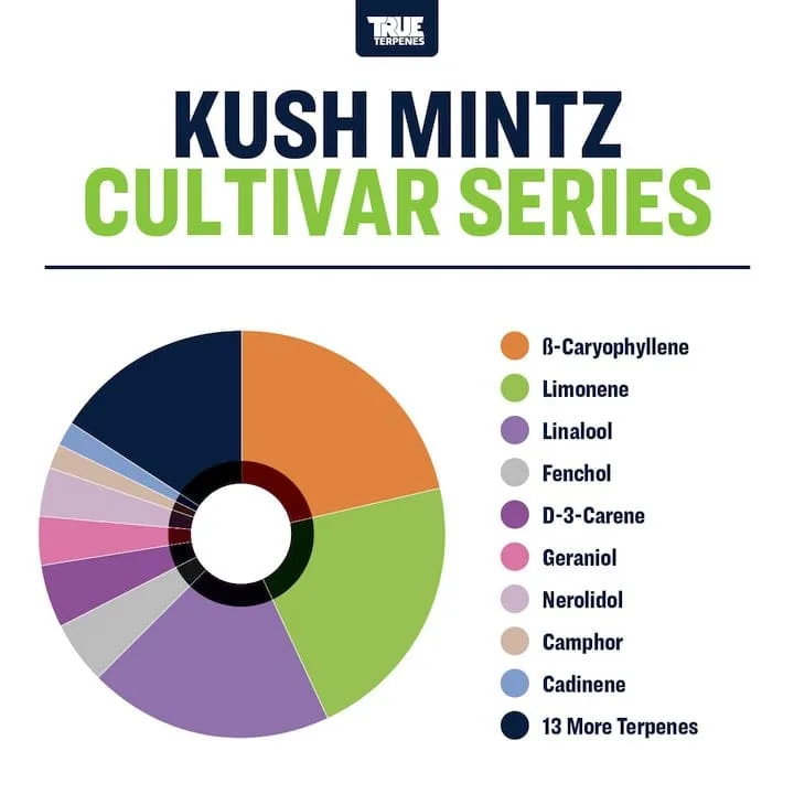 True Terpenes Cultivar Series Kush Mintz (5 ml - 960 ml)