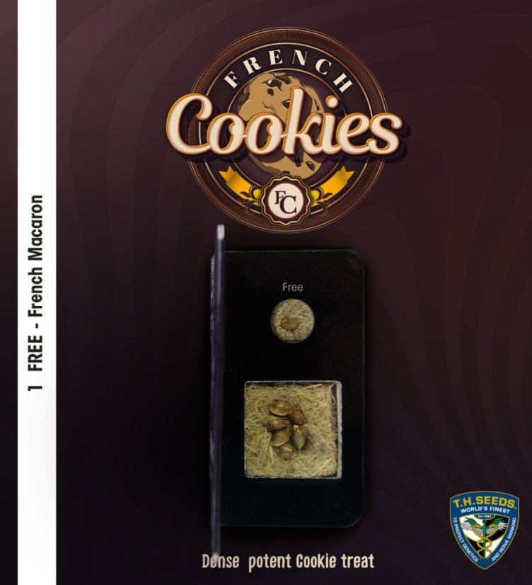 T.H.Seeds™ Semi di Cannabis French Cookies, 6+1 Confezione Speciale, femminizzati