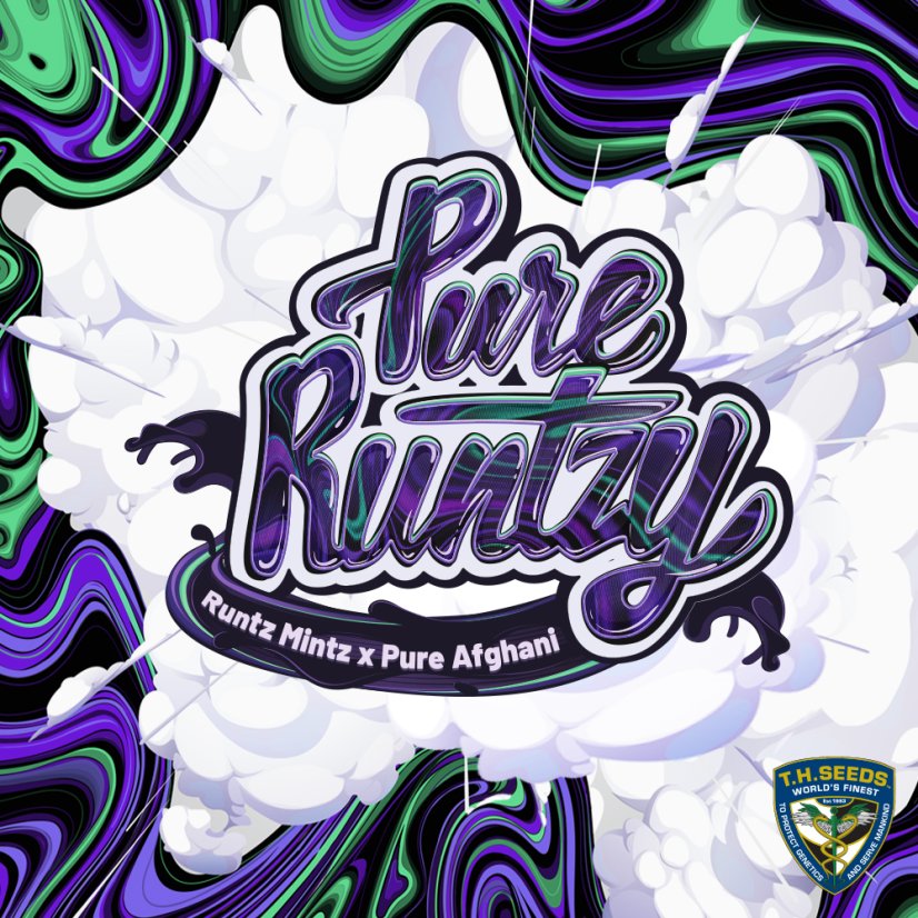 T.H.Seeds™ Seminte de canabis Pure Runtzy, pachet special 6+1, feminizate