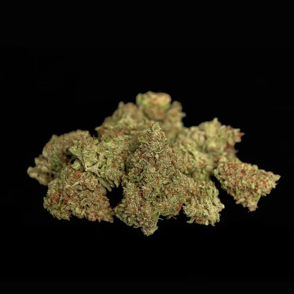 Royal Queen Seeds Semillas de cannabis Gaia F1 Auto