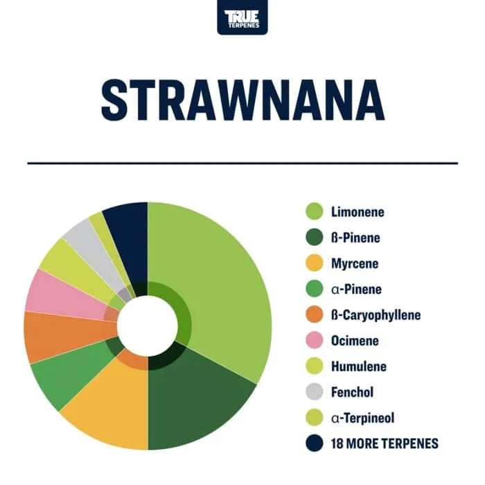 True Terpenes Flavor Infused Strawnana (5 ml - 960 ml)