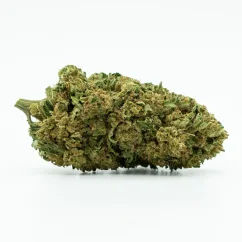 CBD Greenhouse Flower Northern Light 11 %, 1 g - 100 g
