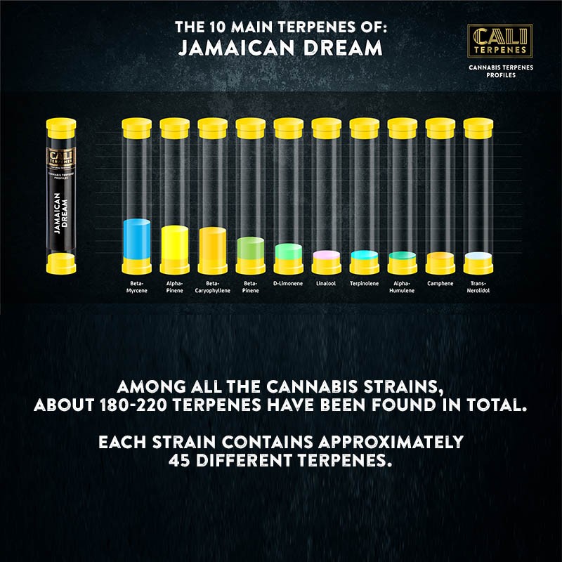 Cali Terpenes - Jamaikanischer Traum, 1 - 1000 ml