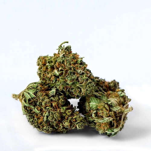 Euphoria CBD Weed Platinum Sour Apple, 100 g