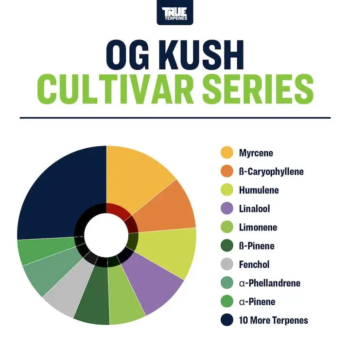 True Terpenes Cultivar Series OG Kush (5 ml - 960 ml)