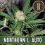 Blimburn Seeds Semi di Cannabis Northern Lights Auto