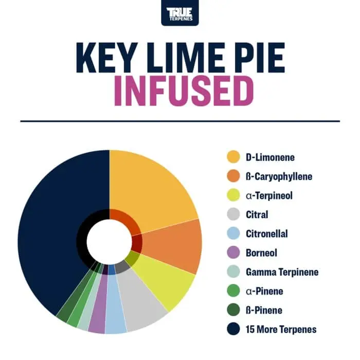 True Terpenes Smagspræget Key Lime Pie (5 ml - 960 ml)