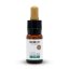 Nature Cure Vollspektrum CBD-Öl, 10%, 1000 mg, (10 ml)