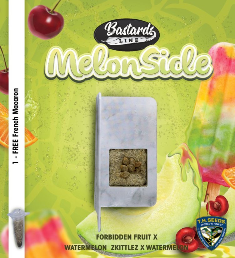 T.H.Seeds™ Cannabis Seeds Bastards Line: Melonsikel, 6+1 specialpaket, feminiserad
