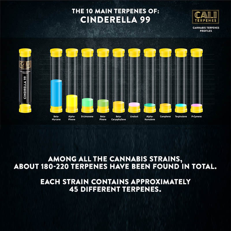 Cali Terpenes - Popelka 99, 1 - 1000 ml