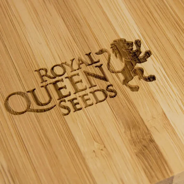 Royal Queen Seeds Bandeja magnética de bambú para liar