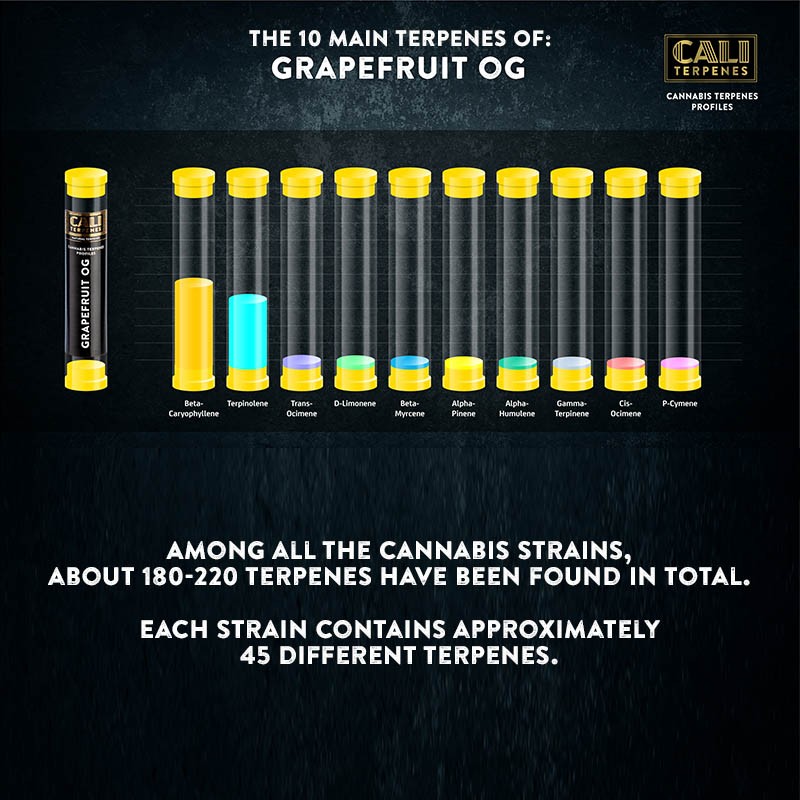 Cali Terpenes - GRAPEFRUIT OG, 1 - 1000 ml