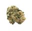 Canalogy Canapa CBD Fiore Zucchero Queen 17%, 1 G - 100 G