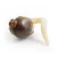 Royal Queen Seeds Seminte de canabis White Widow Auto