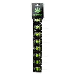Euphoria Piruletas planas de cannabis, 10 x 7,7 g