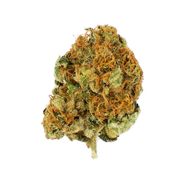 Royal Queen Seeds Seminte de canabis Royal Moby feminizate