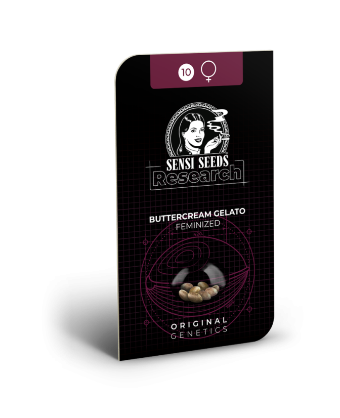 Sensi Seeds Seminte de canabis Buttercream Gelato feminizate, 3-10 buc