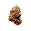 Royal Queen Seeds Seminte de canabis Diesel Auto