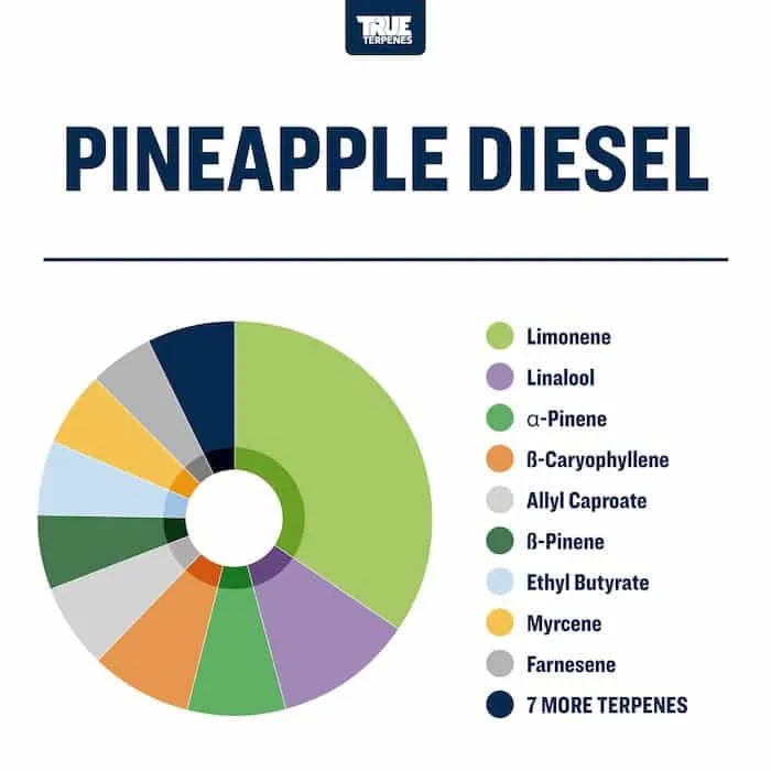 True Terpenes Live Alchemy Pineapple Diesel (5 ml - 960 ml)