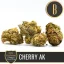 Blimburn Seeds Semi di Cannabis Cherry AK di Kyle Kushman's Femminizzati