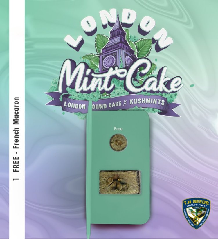 T.H.Seeds™ Seminte de canabis London Mint Cake, 6+1 pachet special, feminizat