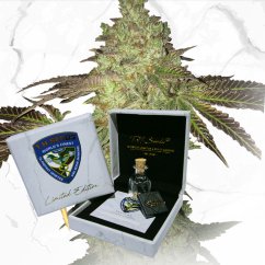 T.H.Seeds™ Semințe de canabis ediție regulată limitată Tort de aniversare X Tort de aniversare X SBC, pachet de 11