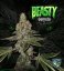 T.H.Seeds™ Seminte de canabis Beasty, pachet special 6+1, feminizate