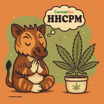 Okapi illustré, créature rare du HHCPM
