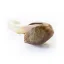 Royal Queen Seeds Seminte de canabis Northern Light feminizate