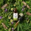 Herbican olio CBD senza THC, 30%, 10 ml