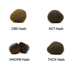 Set di campioni di hashish del Marocco - CBD hashish, HCT hashish, HHCPM hashish, THCX hashish, 4 x 1 g