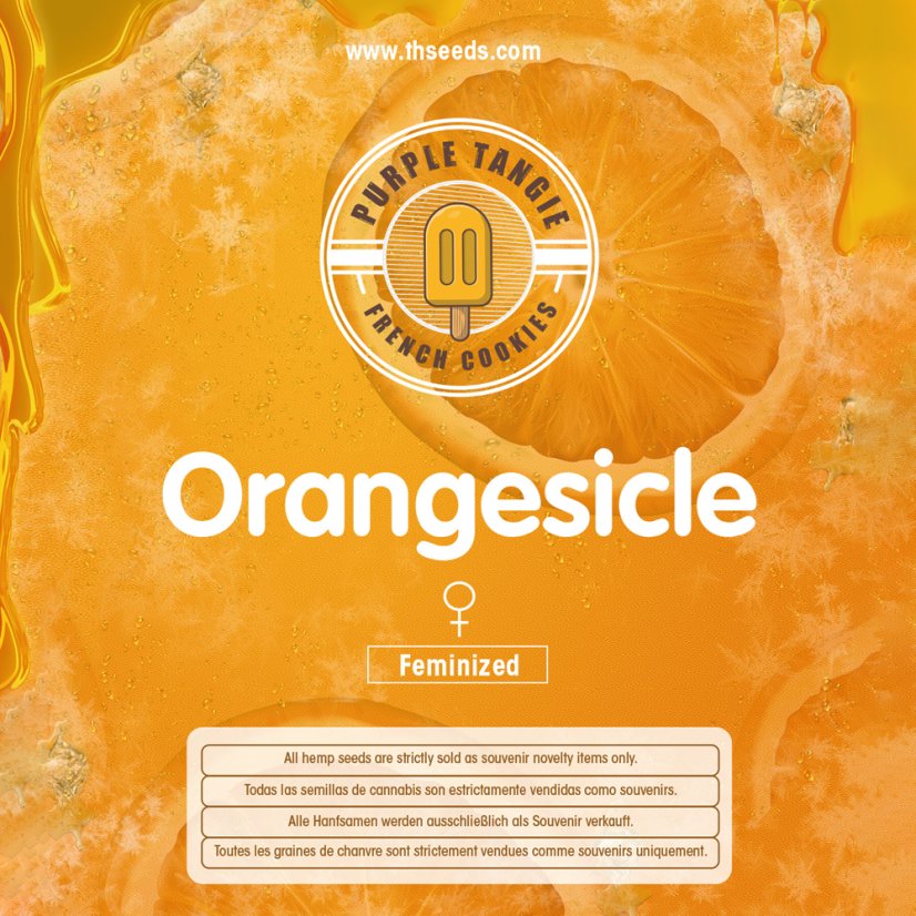 T.H.Seeds™ Cannabisfrø Orangesicle, 6+1 specialpakke, feminiseret