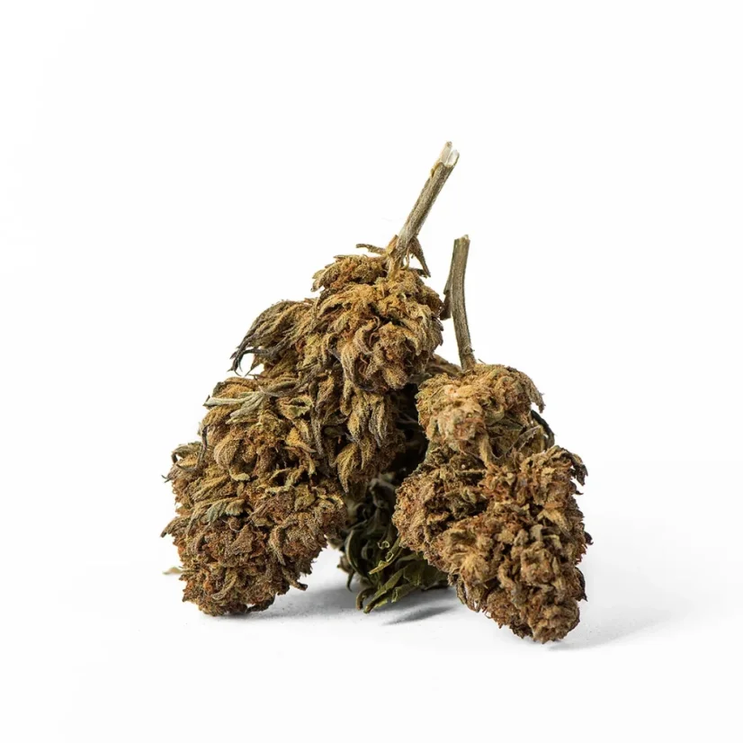 Euphoria CBD Weed Avicenna, 100 g