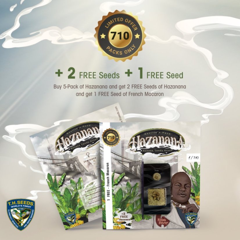 T.H.Seeds™ Semințe de canabis Hazanana, pachet special limitat 710, feminizate