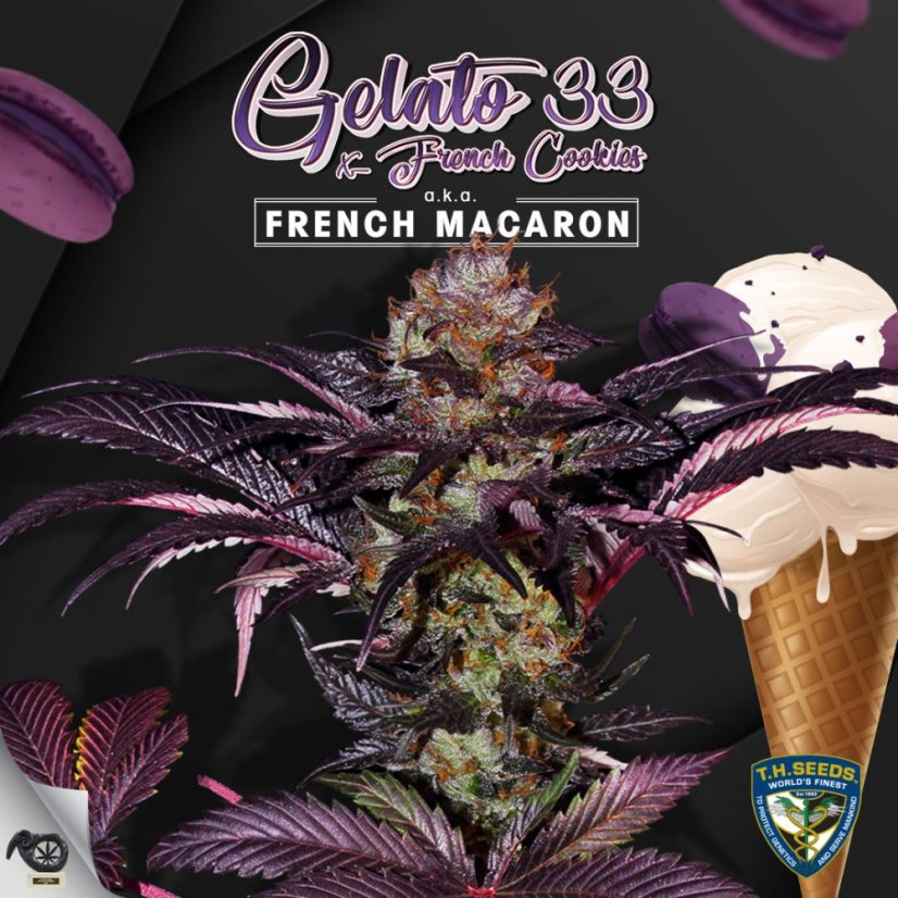 T.H.Seeds™ Seminte de canabis French Macaron, 6+1 Pack Special, feminizate