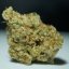 T.H.Seeds™ Cannabis Seeds Stracciatella™, 6+1 specialpakke, feminiseret