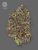 The Bulldog Seeds TB Purple CBD Auto, 3 и 5 бр