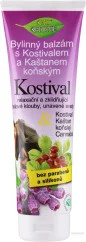 Bione Βοτανική Αλοιφή Comfrey με Άλογο Κάστανο, 300 ml