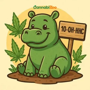 Niedliches grünes Nilpferd mit Cannabissblättern im Hintergrund, einem Schild mit der Aufschrift 10-OH-HHC und dem CannabiZoo-Logo oben. Niedliches grünes Nilpferd mit Cannabissblättern im Hintergrund, einem Schild mit der Aufschrift 10-OH-HHC und dem CannabiZoo-Logo oben.