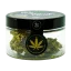 Euphoria CBD Weed Διαμάντι Αμερικανός Φάντασμα 2 σολ