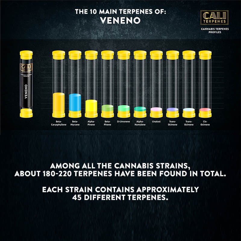 Cali Terpenes - VENENO, 1 - 1000ml