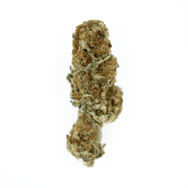 Royal Queen Seeds kannabiksen siemenet Euphoria feminisoitunut (korkea CBD)
