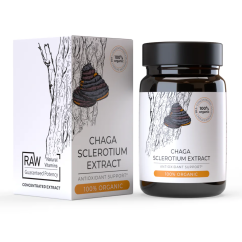 Endoca Extrakt z houby Chaga, 30 kapslí