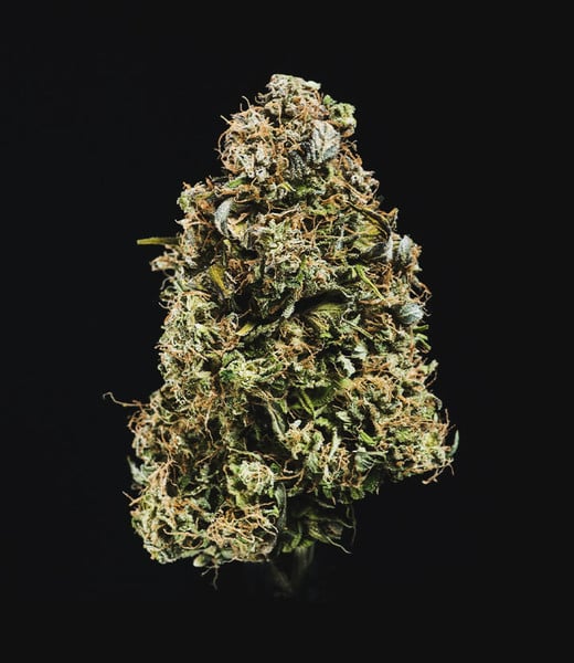 Royal Queen Seeds Seminte de canabis Haze Berry Auto